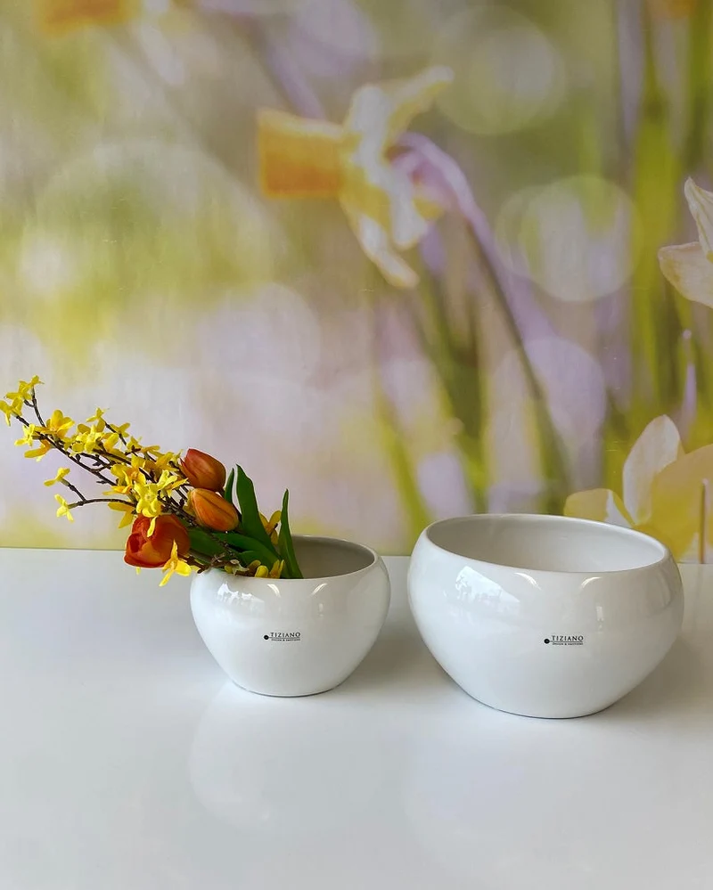 Schale Ascona creme