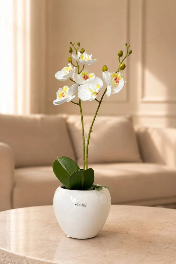 Kübel Ascona creme