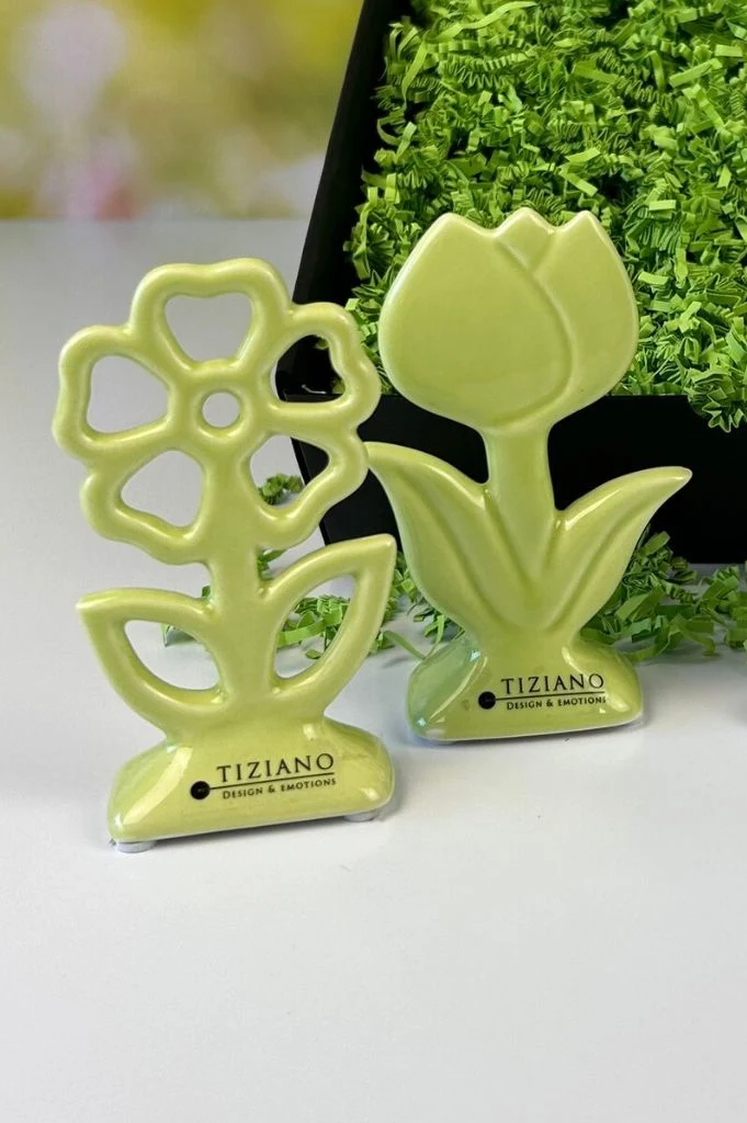 Blume Mesola 12cm in 2 Varianten grün