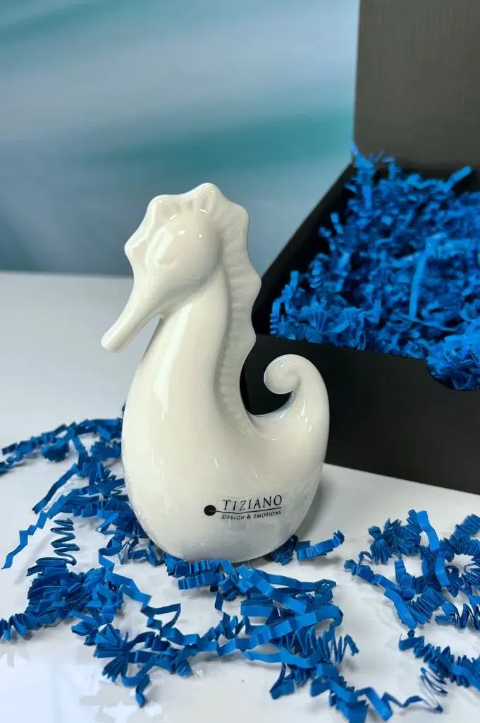 Geschenkbox Seepferd Morana