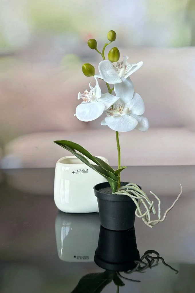 Kübel Brezone creme