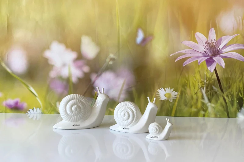 Schnecke Berta creme-weiß