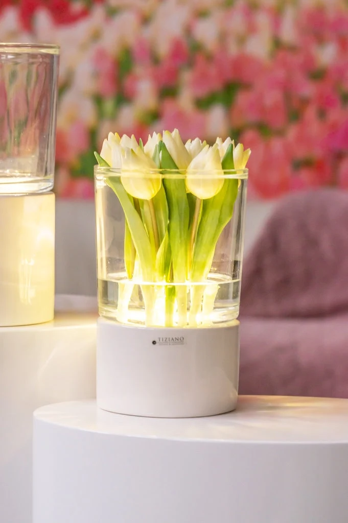 Deko Windlicht Narvik LED mit Glas weiß-creme