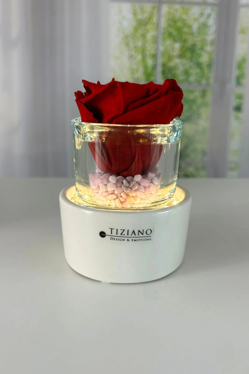 Dekoset Windlicht Castello LED mit Infinity Rose rot
