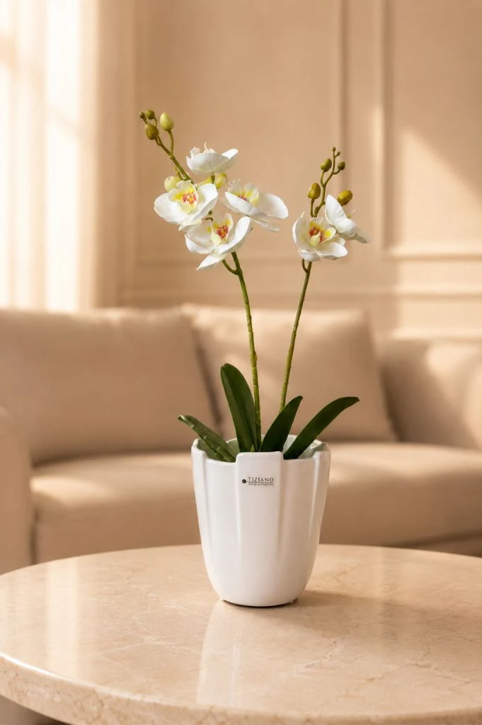 Orchideenkübel Mattina 15cm creme-weiß