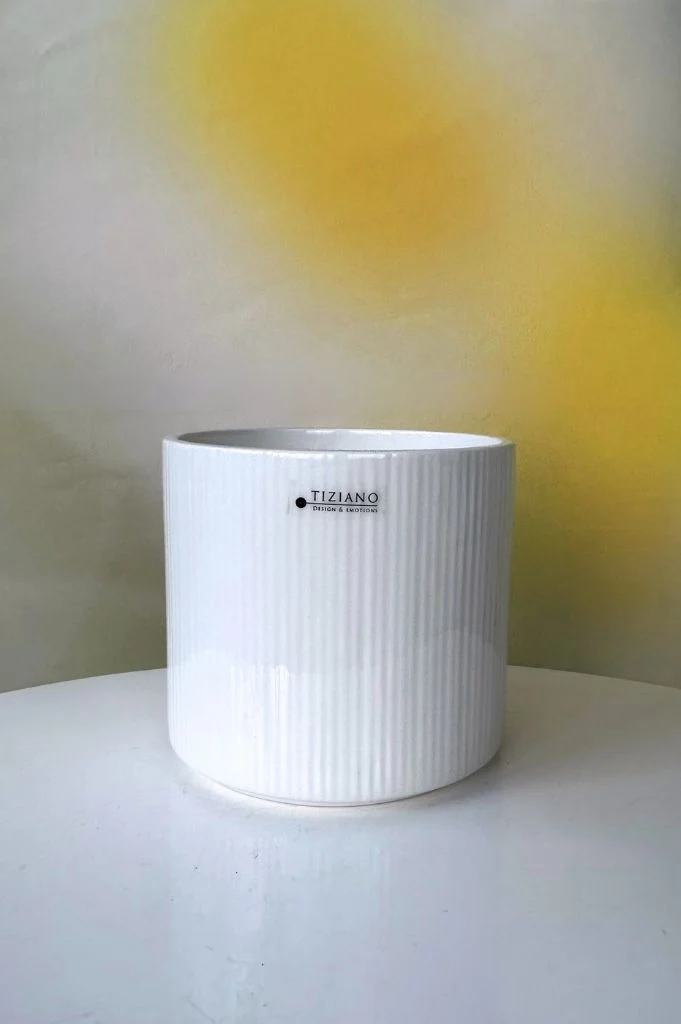 Orchideenkübel Galla 14cm creme-weiß