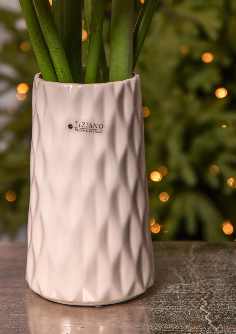 Deko Vase Acerra weiß-creme