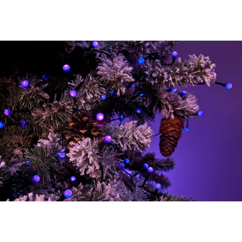 LED Globelichterkette runde Dioden 80 purpurfarbene Dioden IP44