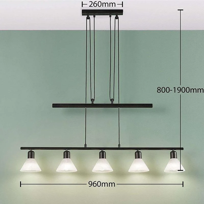 B-Ware Lampenwelt LED-Hängeleuchte Hängeleuchte Lampe Eleasa easydim 5-f. schwarz Le503
