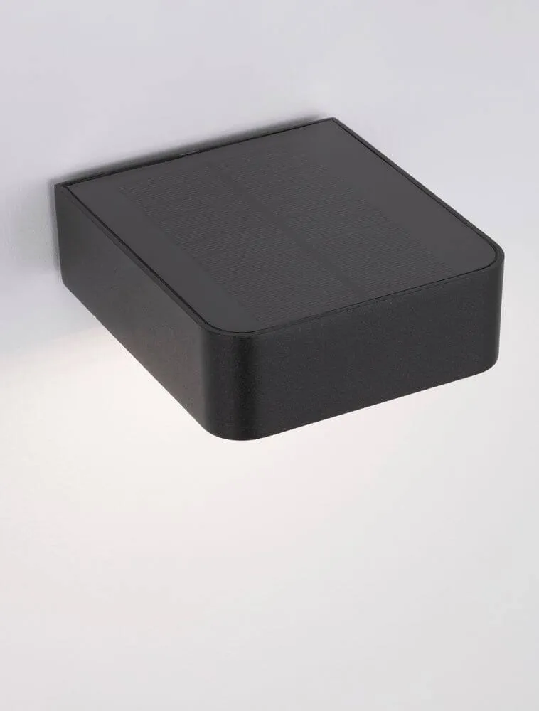 Trendo LED Außenwandleuchte 3000K Anthrazit IP65