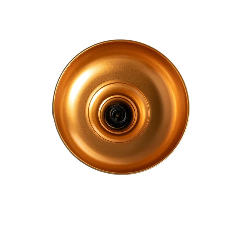 B-Ware Hängeleuchte Berceste 225-S LED Pendelleuchte Lampe dimmbar gold Ø32cm
