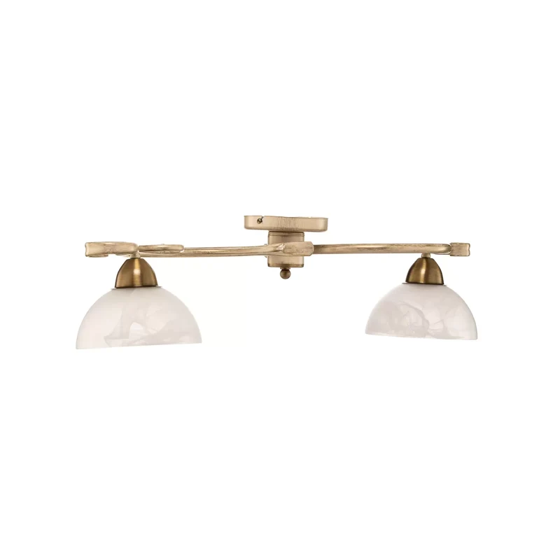 B-Ware Deckenlampe Flora Spot Spotleuchte Leuchte Lampe Deckenleuchte LED-Leuchte Licht