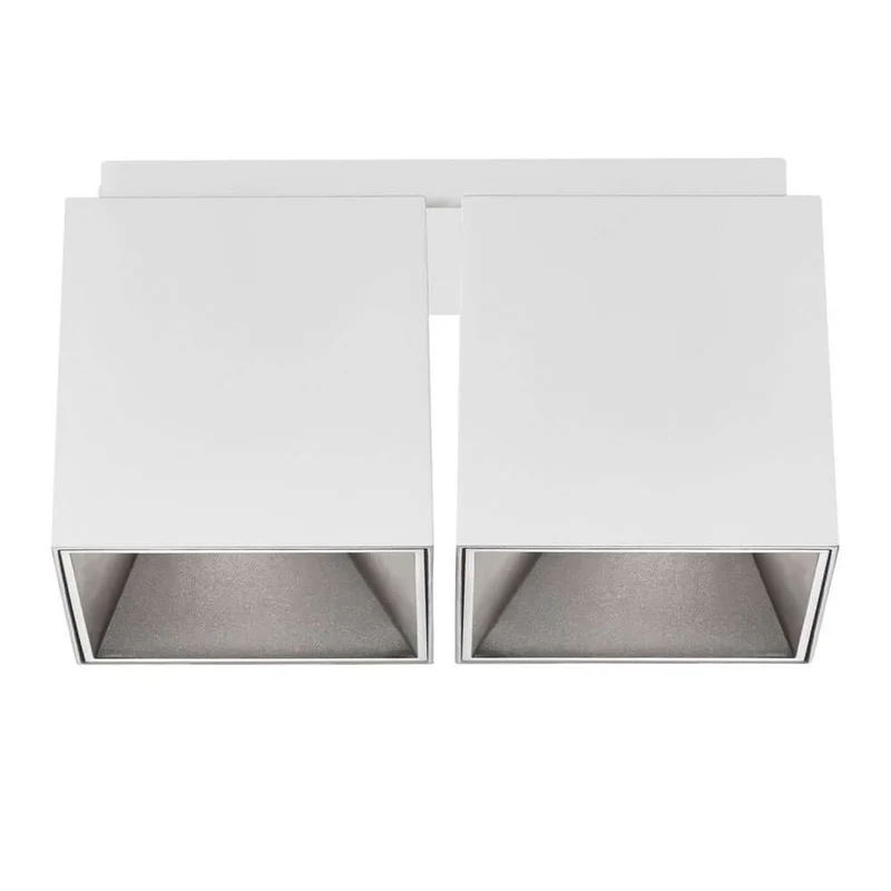 Deckenstrahler Ethan 2-Spot
