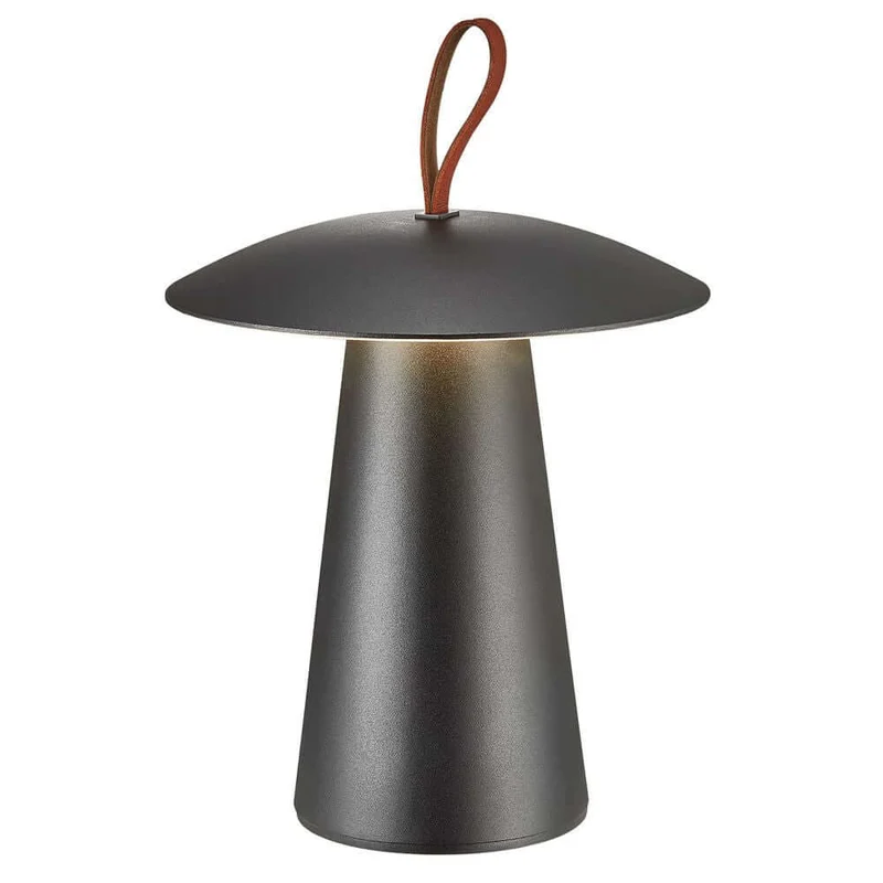 LED Akkuleuchte Ara To-Go 2 IP54