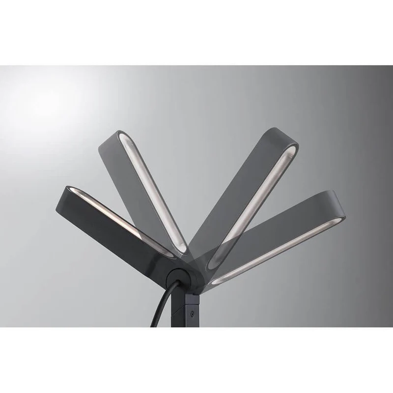 Plug & Shine LED Einzelstrahler Ito Anthrazit IP65