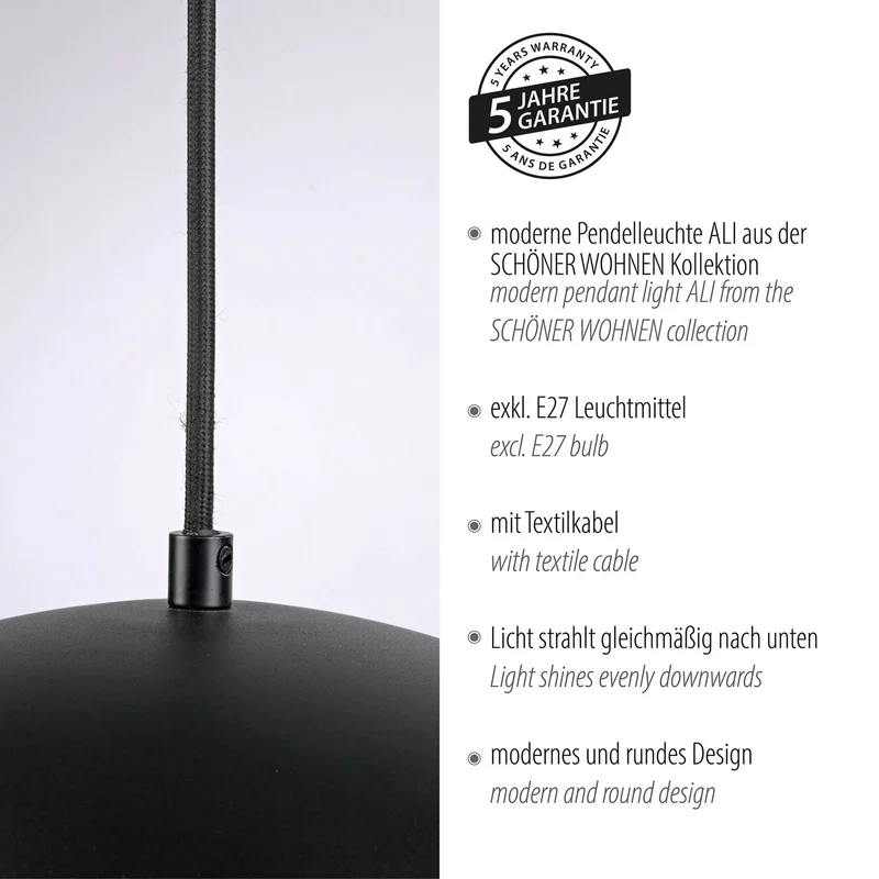 B-Ware SCHÖNER WOHNEN Hängeleuchte Pendelleuchte Ali Lampe schwarz Eisen E27 38 cm