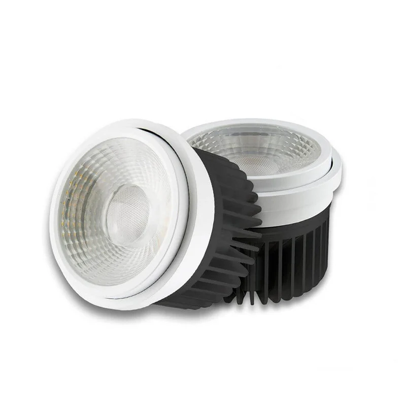 LED für Fleischwaren fokussierbar 35°-50° 1900K 948lm 30W