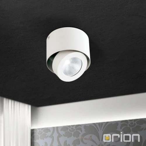 B-Ware Orion Schwenkbarer LED-Aufbauspot Deckenlampe Deckenlampe Meno Weiß dimmbar