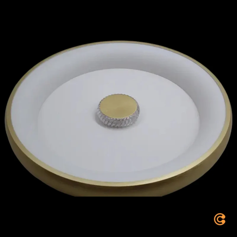 B-Ware JUST LIGHT. LED-Deckenleuchte Vertigo Deckenleuchte Deckenlampe Lampe Leuchte