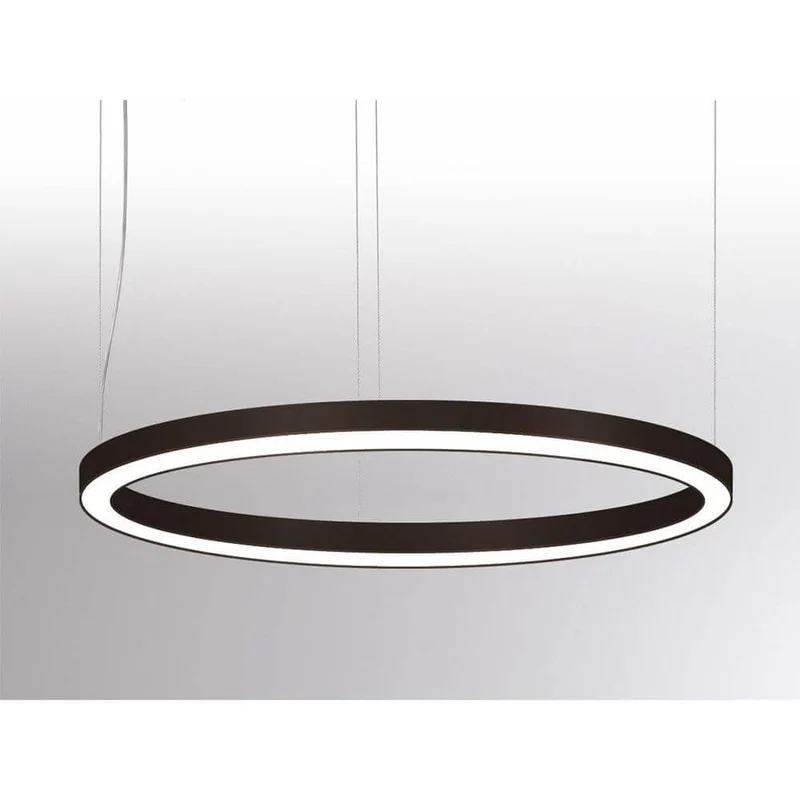 Rinq LED Ring-Hängeleuchte Ø 300cm Schwarz DALI Dimmbar