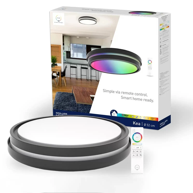 B-Ware tint Deckenleuchte Lampe LED Kea Raumbeleuchtung Schwarz Smart Home Beleuchtung