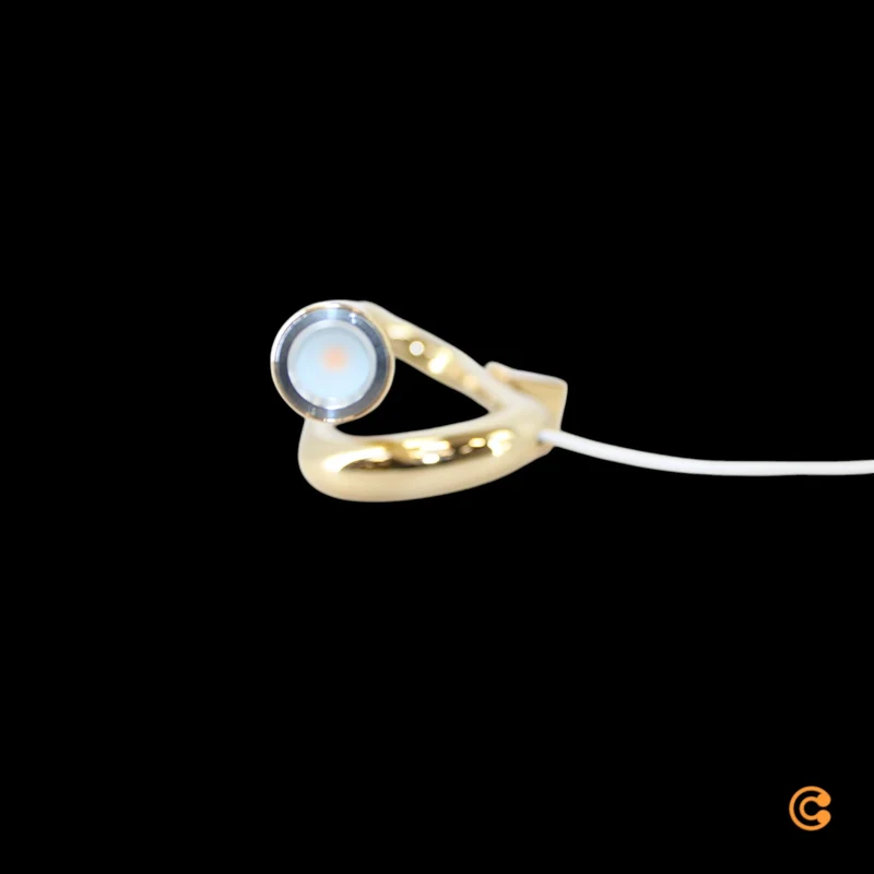 B-Ware Foscarini Wandleuchte Wandlampe LED Tobia Gold Kabel Stecker Warmweiß 40 cm