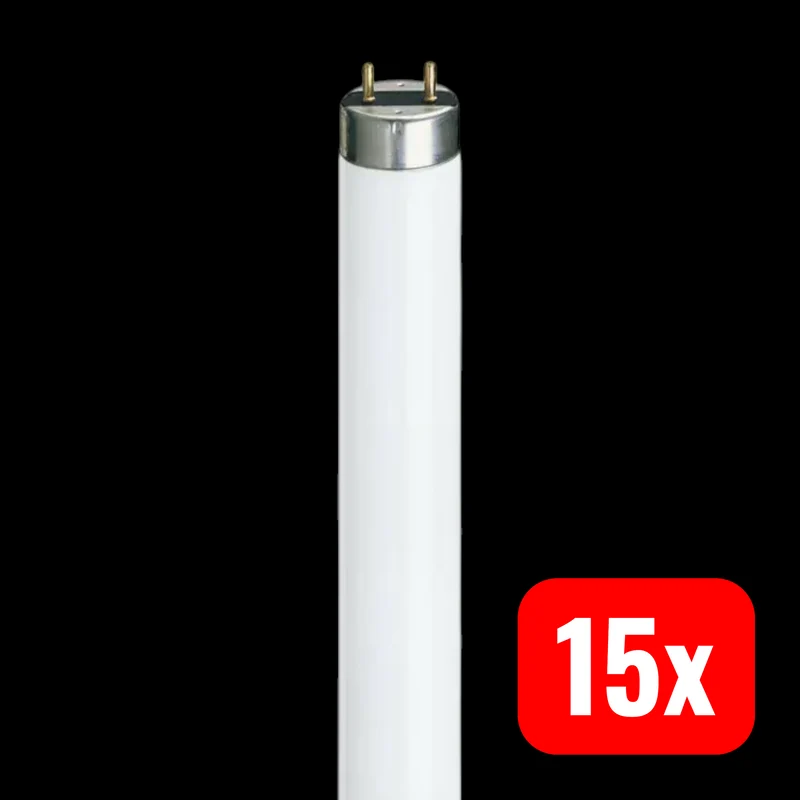 15x B-Ware Philips Leuchtstofflampe Röhre TL-D G13 warmweiß Master Super 80 984 mm 15 STÜCK