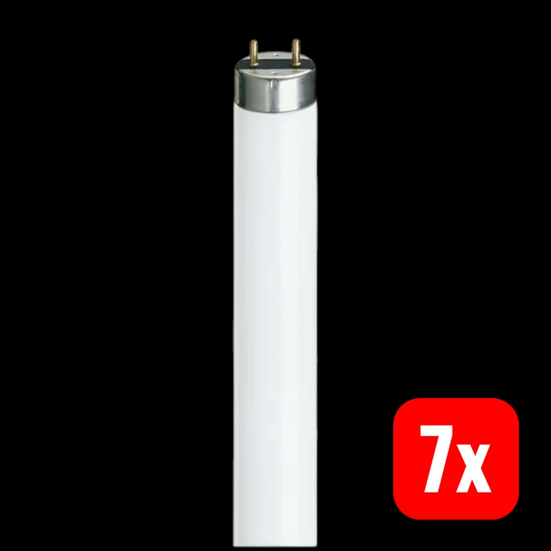 B-Ware Philips Leuchtstofflampe Röhre TL-D G13 warmweiß Master Super 80 weiß 7 STÜCK