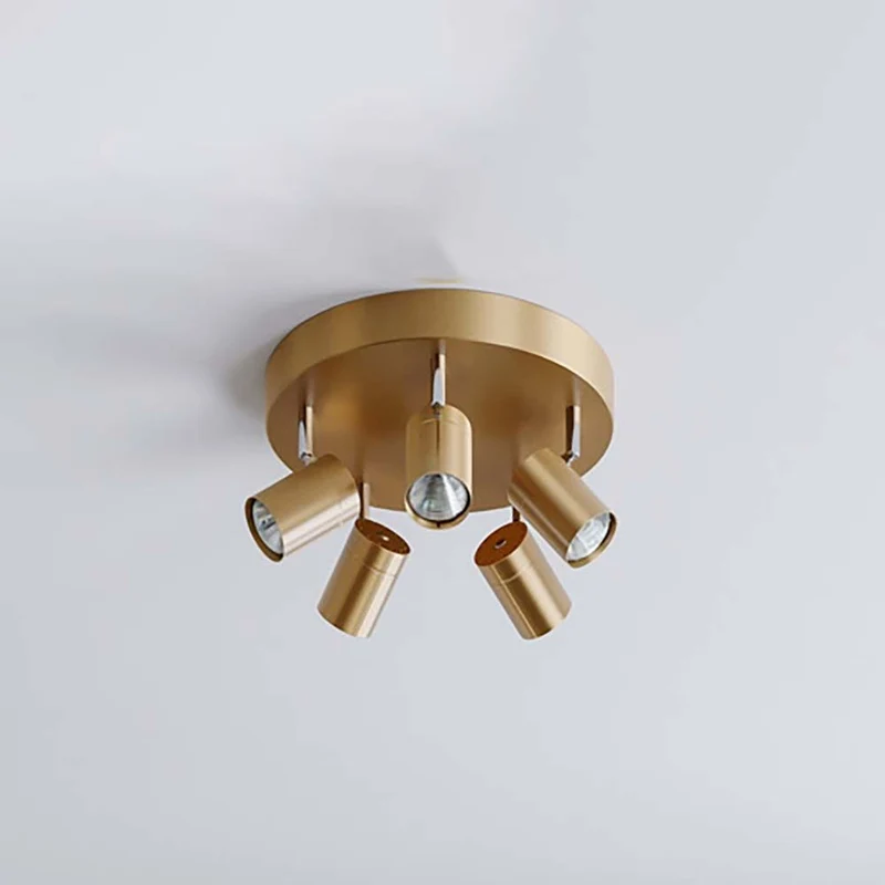 Deckenspot Correct 5-flg.