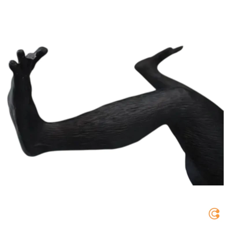 SELETTI Lampe Leuchte Monkey Lamp LED Hängelampe Hängelicht schwarz Kunstharz