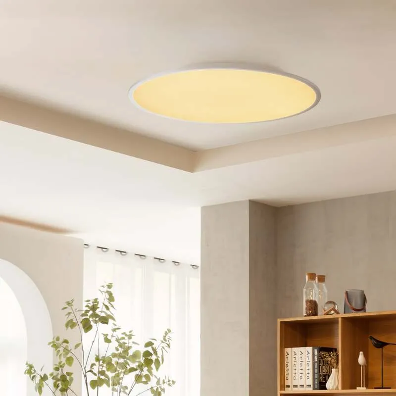 B-Ware Lindby Deckenlampe Deckenleuchte LED Lampe Narima silber Fernbedienung dimm222