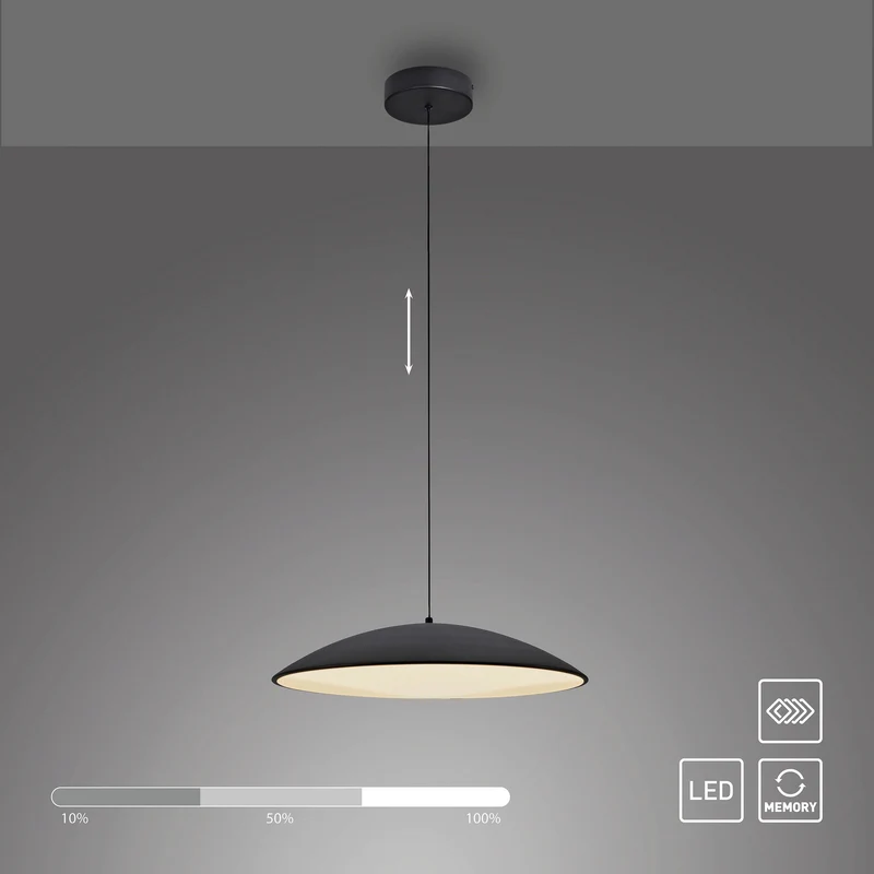 B-Ware Schöner Wohnen LED Hängeleuchte LENTE dimmbar Pendelleuchte schwarz Ø50cm
